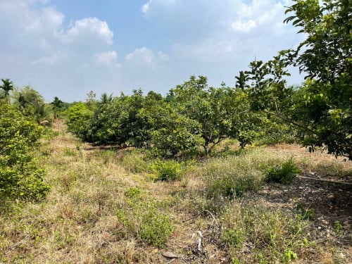 🏦Land for Urgent sale (Negotiable), ABA Loan Available