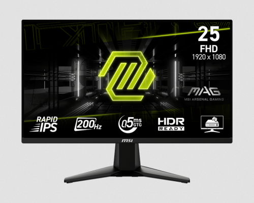 Gaming monitor MAG 255F E20 (200Hz)