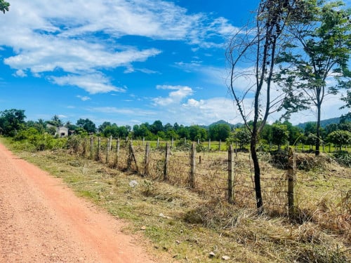 ដីកែបលក់