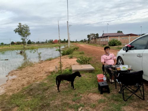 ដីលក់