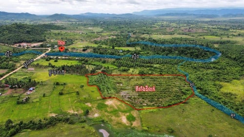 ចំការទុរេន  លក់បន្ទាន់ខ្លាំងក្រោមទីផ្សារ 50%