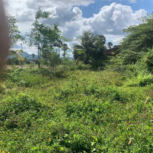 Land Available for Urgent Sale at a Special Price (Negotiable).