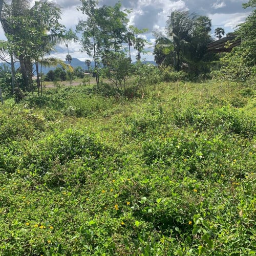 Land Available for Urgent Sale at a Special Price (Negotiable).