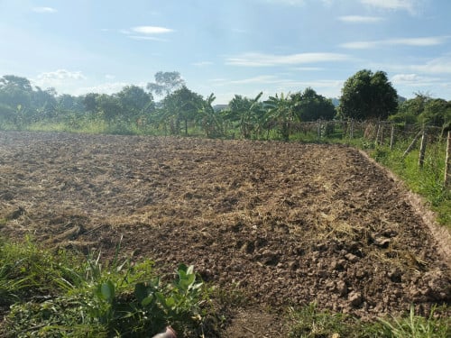 ដីលក់10x23.5mប្លង់រឹង ក្រុងអរិយក្សត្រ