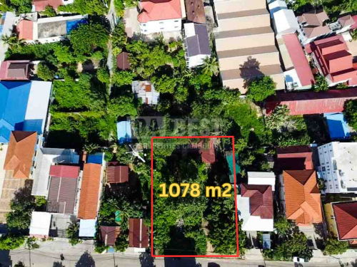 ដីលក់ក្នុងក្រុងសៀមរាប សង្កាត់ស្វាយដង្គំ/ Land for Sale in Siem Reap - Svay Dangkum