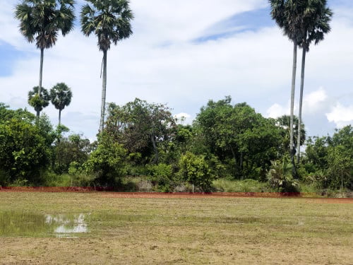 🏦Land for Urgent Sale (Negotiable), ABA Loan Available