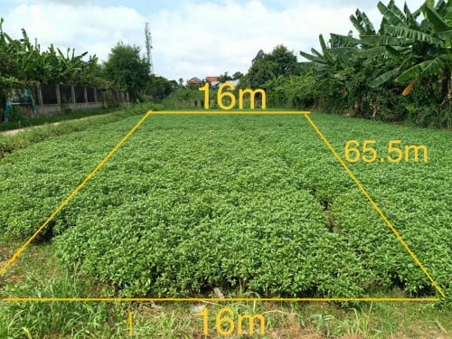 ដីលក់នៅកៀនស្វាយ