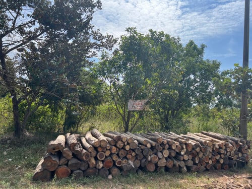 ដីចំការស្វាយ ឈូក កំពត 土地出售，贡布省