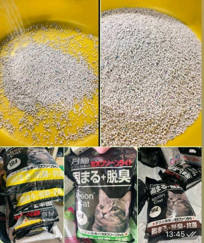 ខ្សាច់ឆ្មា