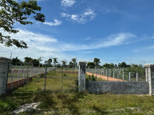 ដីលក់ហួសអង្គវត្តបន្តីដីស្អាតថ្នល់40ម៉ែត្រ ច្រកចូល100ម ដល់ដី