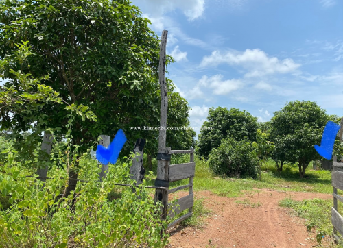 ដីលក់ជាប់ផ្លូវជាតិលេខ 67 ជិតទល់ដែនថៃតាមច្រកជាំ