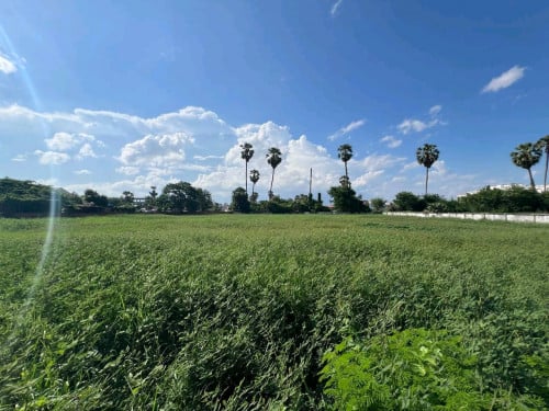 Land for sale