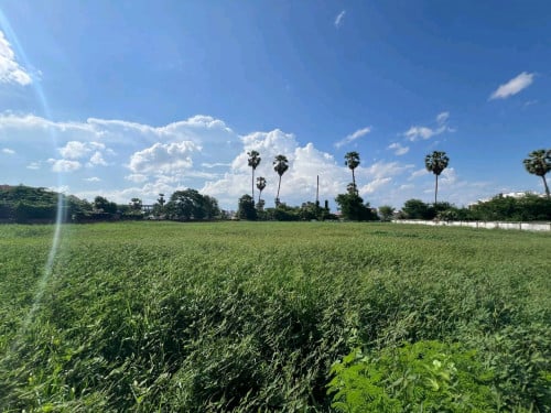 Land for sale