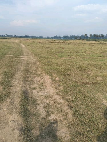 ដីលក់ បន្ទាន់