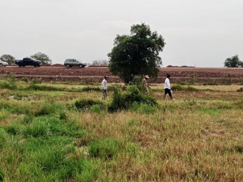ដីលក់រឺ ជួល បន្ទាន់ ព្រោះត្រូវការលុយ