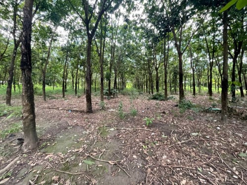 🏦Land for Urgent sale (Negotiable), ABA Loan Available