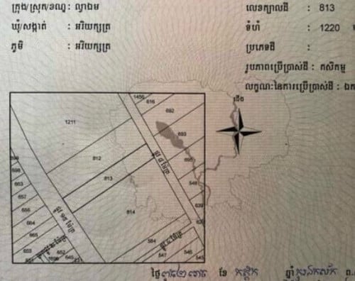 ដីចំការលក់បន្ទាន់ 15m x 80m