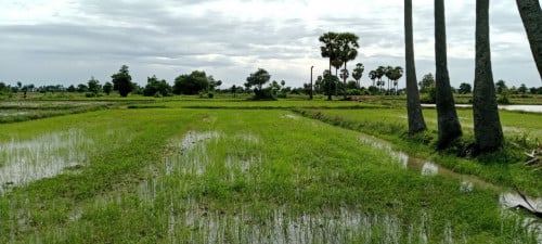 Land for Urgent sale (Negotiable), ABA Loan Available