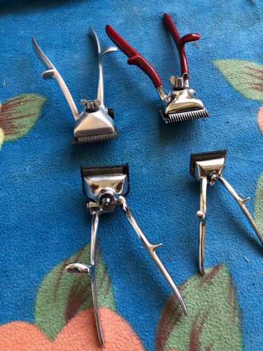 កន្ត្រៃកាក់សក់បារាំង១ទឹក  ពិតៗ