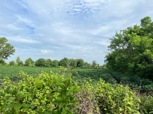 ដីលក់កំពង់ចាម