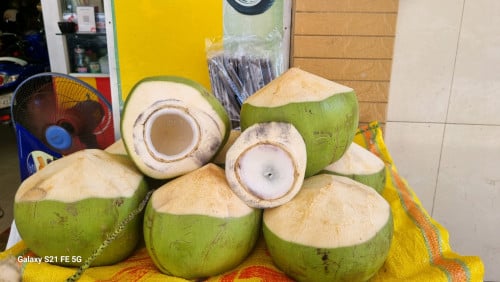 យើងខ្ញុំជាម្ចាស់ចំការដូងក្រអូប មានផ្លែក្រអូបជូនបងប្អូនពិសារ ក្នុងតំលែសមរម្យ ដូងរសជាតិ ផ្អែមឆ្ងាញ់