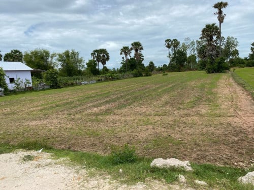 ដីលក់បន្ទាន់ កណ្តាលស្ទឹង ជិតទន្លេបាទី