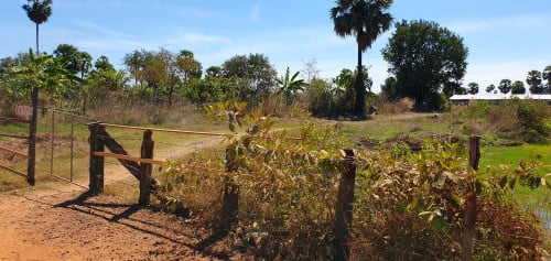 ដីលក់ 53ម៉ែត្រ × 60ម៉ែត្រ