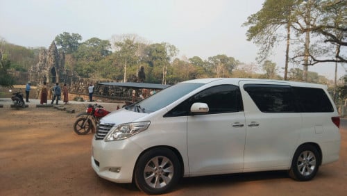 Alphard. H1. Starex. Haice. Bus.