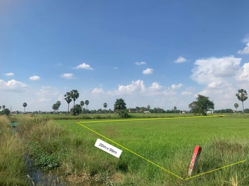 ដីចំការលក់បន្ទាន់​ សង្កាត់ប្រទះឡាង