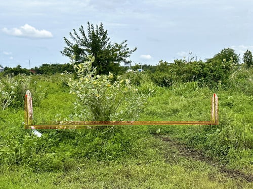 🏦Land for Urgent sale (Negotiable), ABA Loan Available