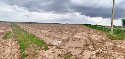 ដីសម្រាប់លក់