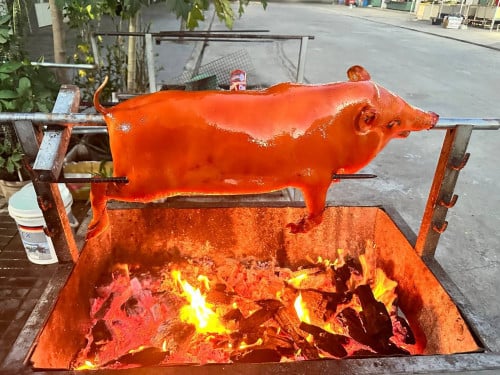 ជ្រូកកណ្តុរអាំងអំបិលម្ទេស