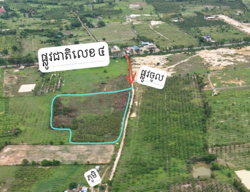 ដីលក់នៅត្រែងត្រយឹង