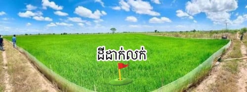 ដីដាក់លក់បន្ទាន់ (កៀនស្វាយ)