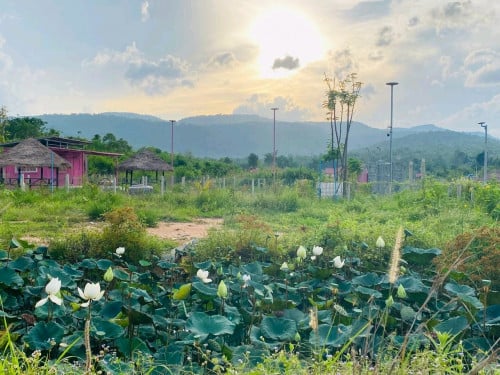 ដីលំហែគិរីរម្យ ជីវិតក្នុងក្តីស្រម៉ៃរបស់បងៗ ជាមួយគ្រួសារ