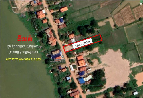 ដីលំនៅឋាន លក់បន្ទាន់ តម្លៃក្រោមទីផ្សារ ទីតាំងល្អ 12m x 100m