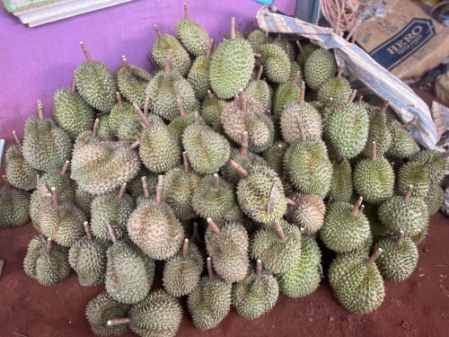 ធម្មជាតិពិតៗ មកផ្ទាល់ដល់ចំការក៏បានទទួល24ម៉ោង❤️☎️