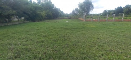 Land sale ដីលក់