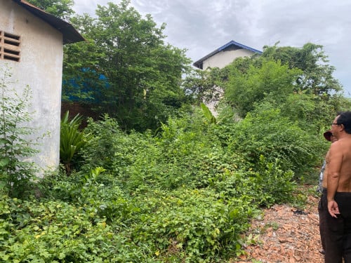 ប្រញាប់លុយ