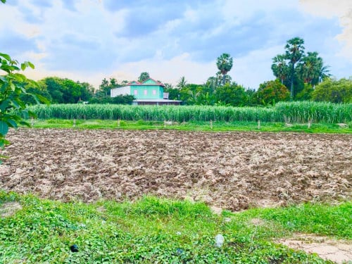 ដីលក់បន្ទាន់