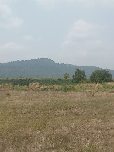ដំលំហែរលក់ឡៃឡុងជាប់ជេីងភ្នំដីធំ14000ការេស្រុកបន្ទាយស្រី