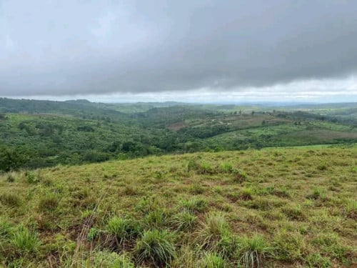 ដីលក់ប្លងរឹងជាប់ Hilltop Resort ប្រញាប់លុយ