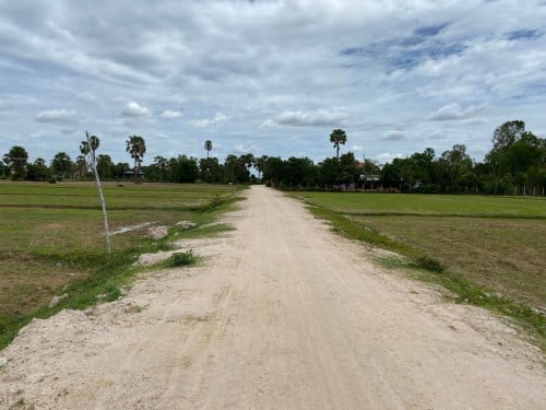 ដីលក់ ភូមិត្រពាំងស្វា កណ្តាលស្ទឹង ជិតព្រលានថ្មី