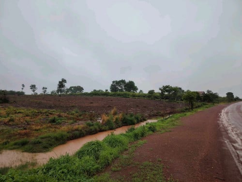 លក់ដី នៅរតនគីរី តាមបណ្តោយផ្លូវទៅទឹកជ្រោះ៧ជាន់ ចុះពីថ្នល់ជាតិប្រហែល១.៥គ.ម