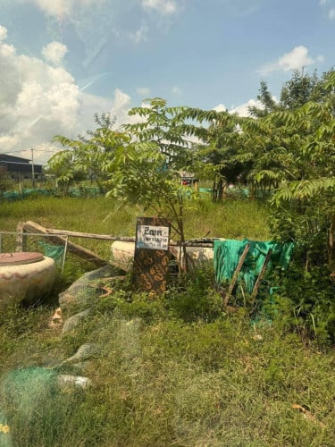 ដីលក់ 16.8m x 18m ប្លង់រឹង