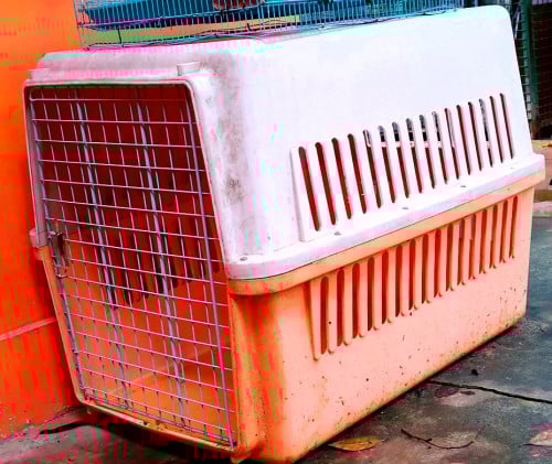 ទ្រុងដាក់សត្វ cat cage pets cage dog cage
