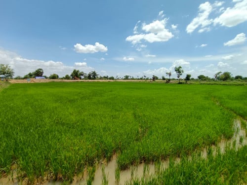 ដីសំរាប់លក់