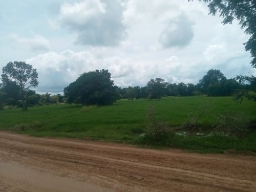 ដីសម្រាប់លក់ជាប់ផ្លូវ40m