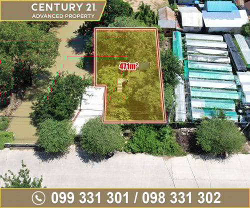 🏘 ដី នៅជិតពន្ធដារដង្កោ ខណ្ឌដង្កោ ត្រូវការលក់បន្ទាន់ខ្លាំង