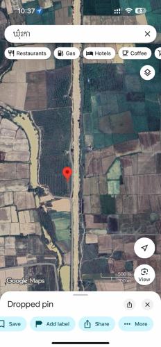 ចំការស្វាយសំរាប់ជួល រឺលក់